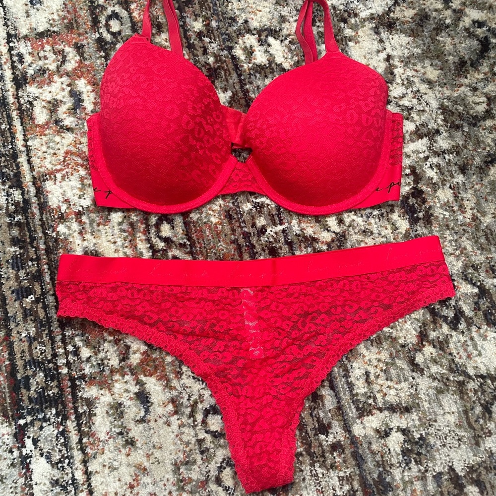 Sexy Red Sheer Cheetah Bra & Thong Set